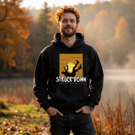 Struck down but Not Destroyed - Hoodie